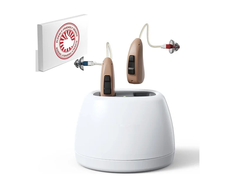 iBstone MiniRIC hearing aids